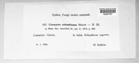 Image Associated With the Occurence
